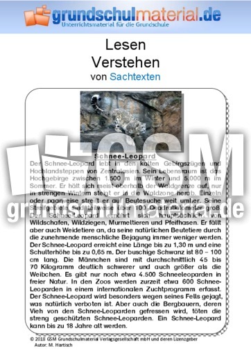 Schnee-Leopard - Sachtext.pdf